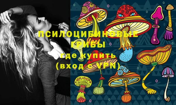 мет Арсеньев