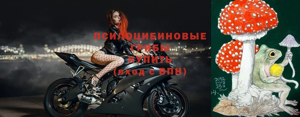 мет Арсеньев